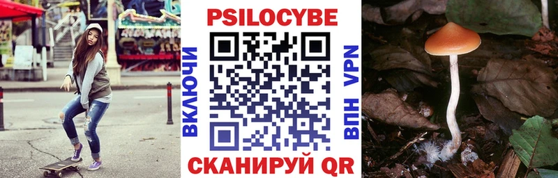 где найти   Гусев  Псилоцибиновые грибы ЛСД 