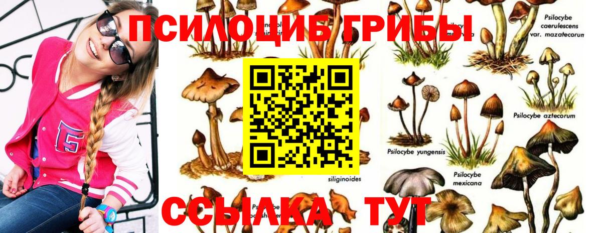 Псилоцибиновые грибы мухоморы  Вход с VPN  Гусев 